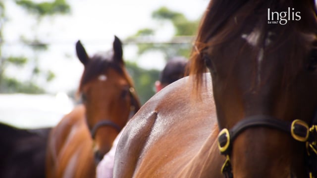 2022 Easter Yearling Sale Preview