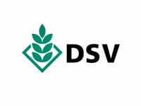 DSV - Down to Earth