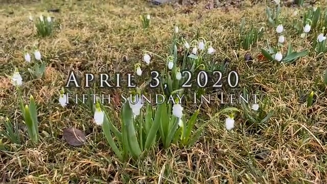 April 3 2022