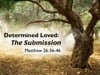 DETERMINED LOVED: THE SUBMISSION