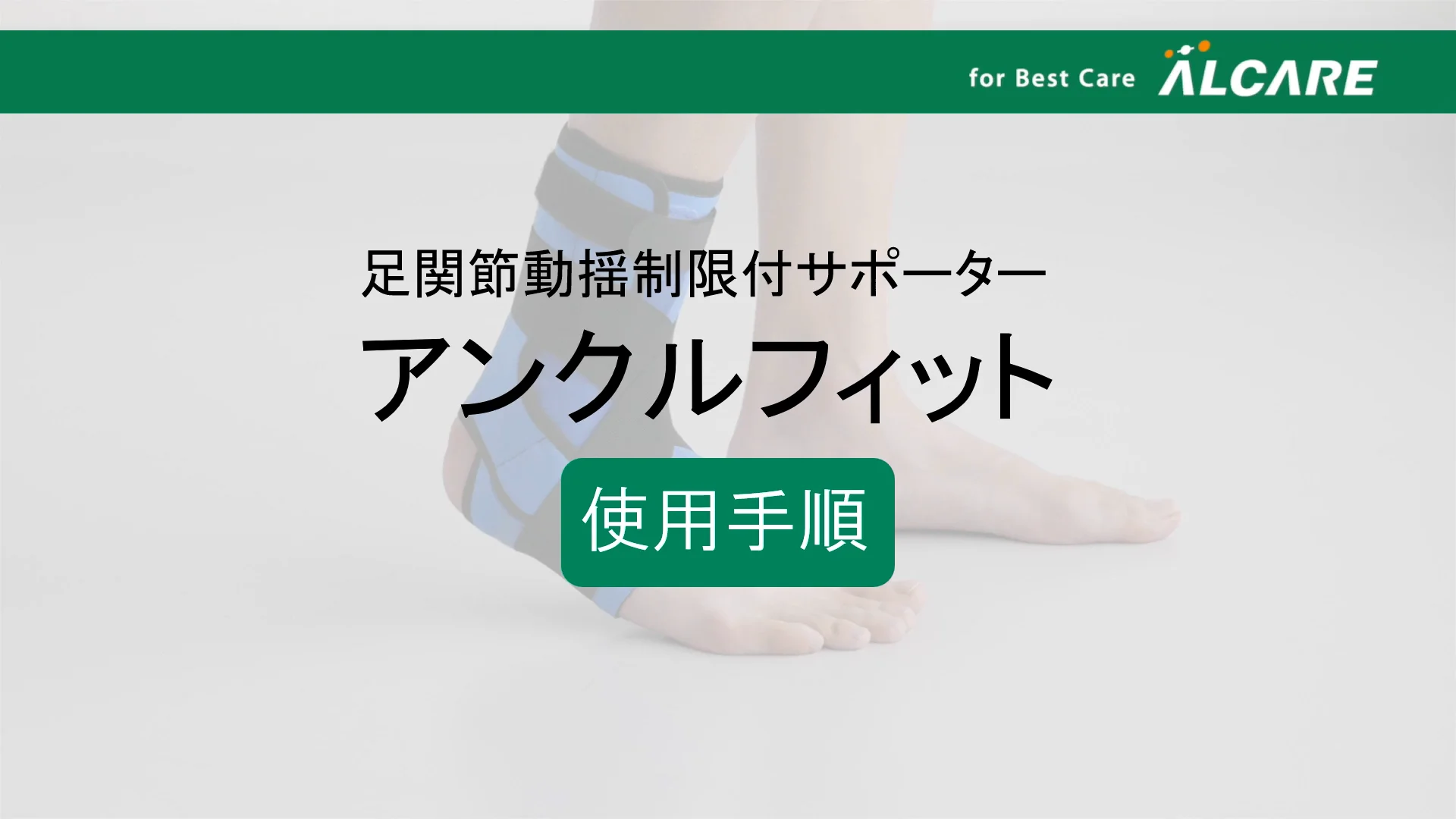 Anatomy of the Foot and Ankle 第三版 値段交渉可 Anatomy of the