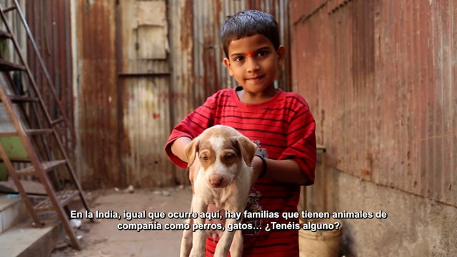 Ver vídeo