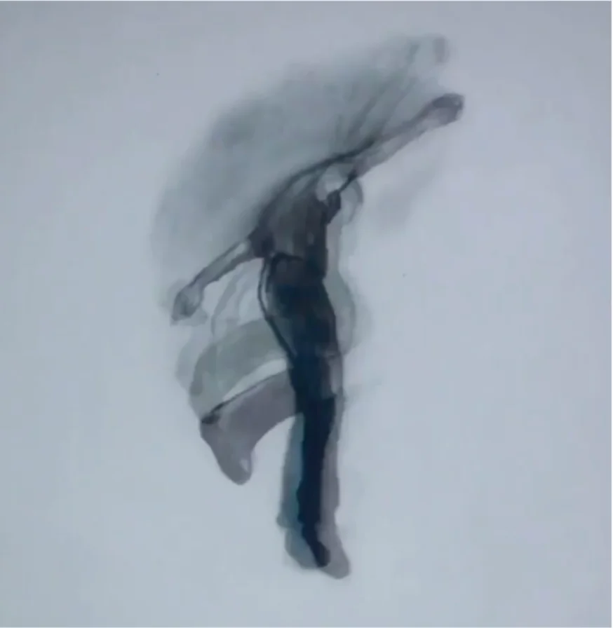Animation on Vimeo