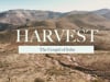 4.03.22_John 4:27-42_Harvest
