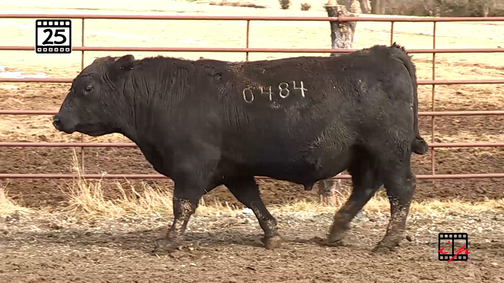025.mp4 on Vimeo