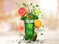 Tanqueray No.TEN - Customer Success Story