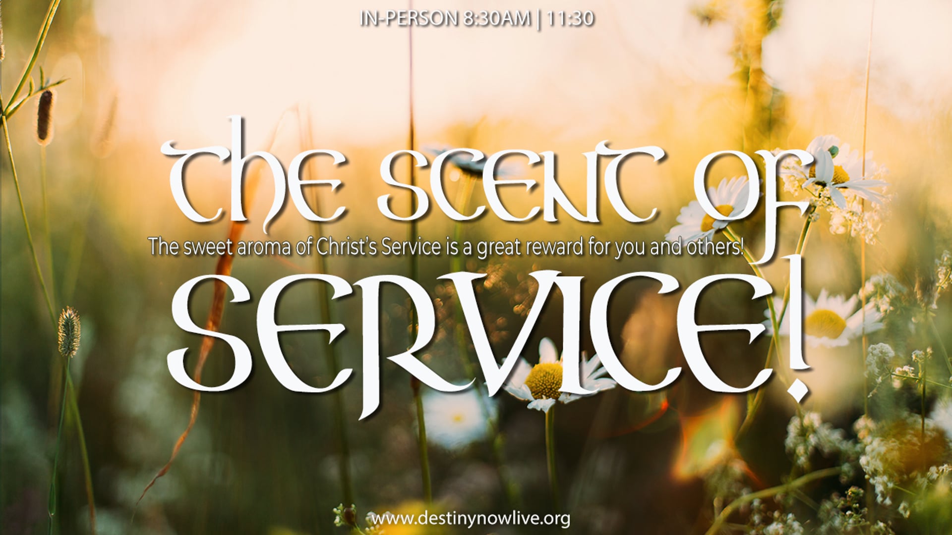 THE SCENT OF SERVICE
