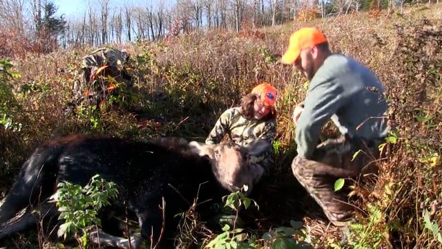 Hunt of A Lifetime 2021 Moose Hunt in Vermont, Episode 2