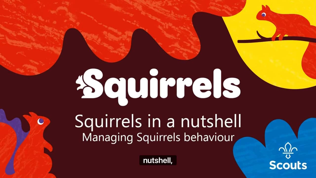 Squirrels in a Nutshell 6 - Managing Squirrels behaviour on Vimeo