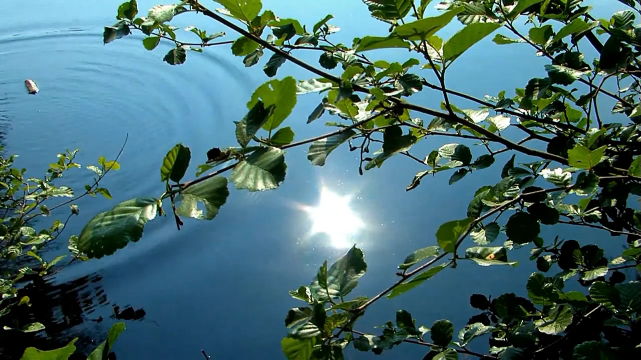 Spring on Vimeo