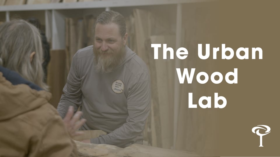 The Urban Wood Lab, Wisconsin, a TCIA video by Waves Media