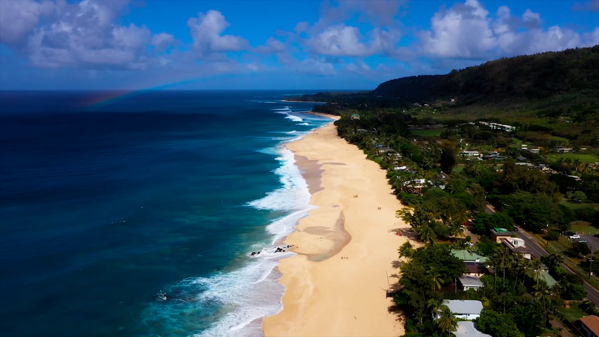 Oahu Bird's Eye