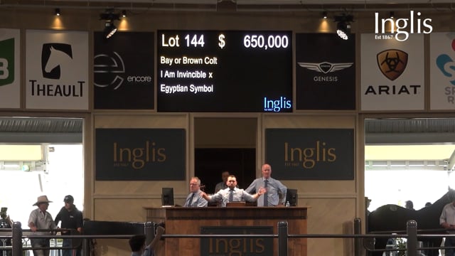 Will Bourne – Lot 144 : 2022 Inglis Easter Yearling Sale Snippet
