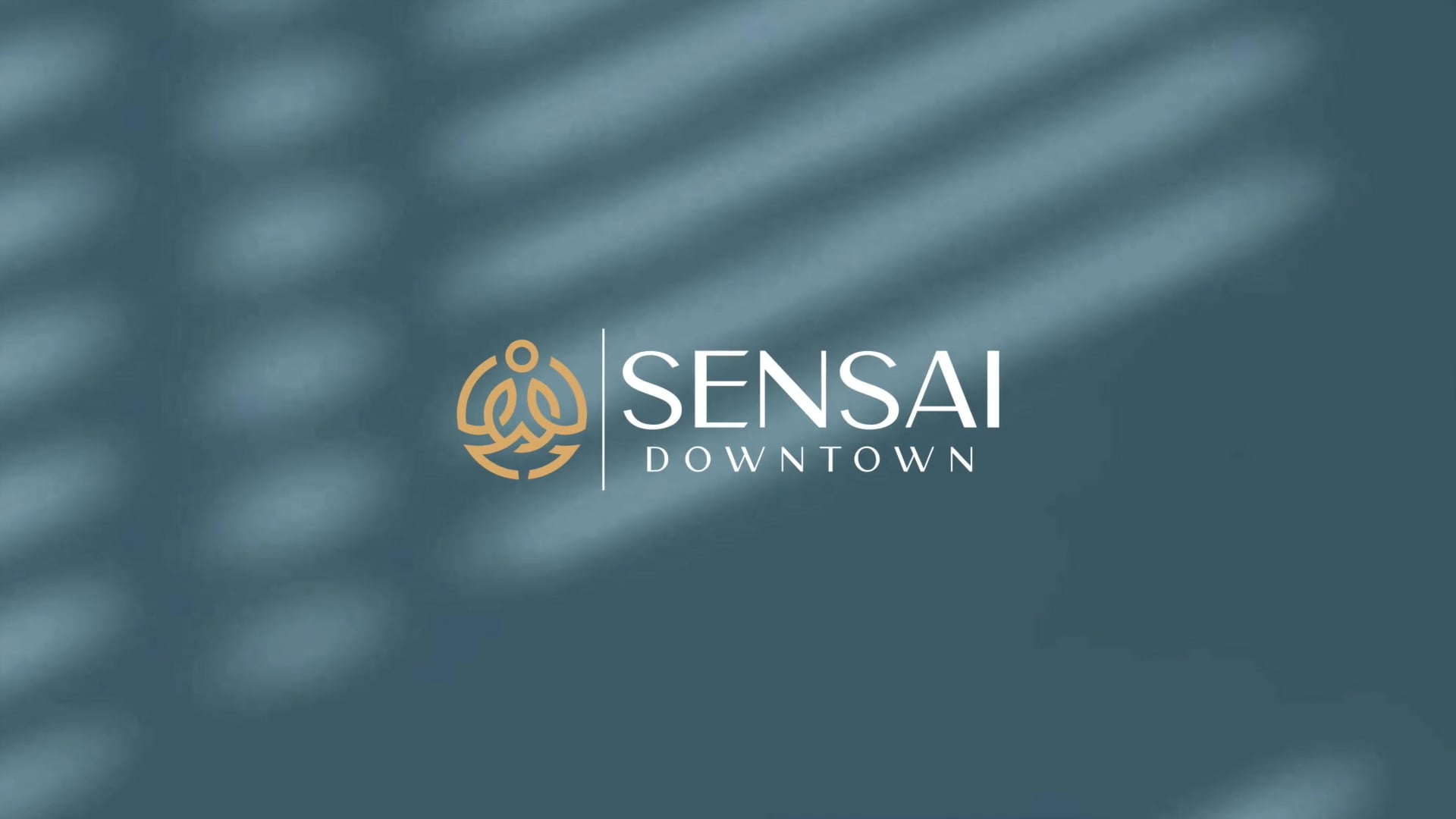 SENSAI-LOOP-MUSIC.mp4 on Vimeo
