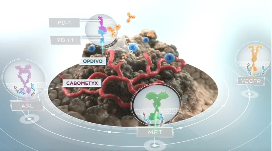 Video: Combination Mechanism of Action