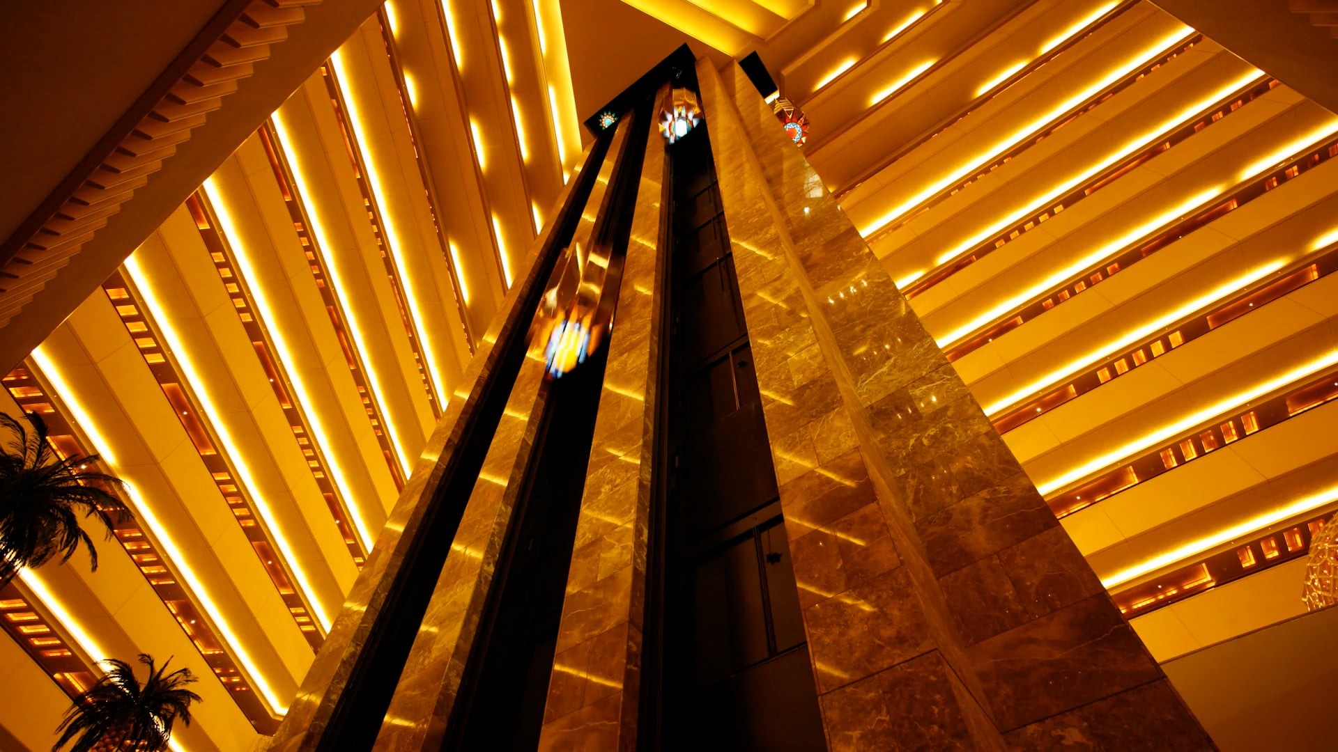 Contact Us | Move Elevators