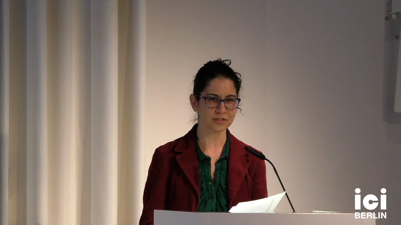 Talk by Iracema Dulley