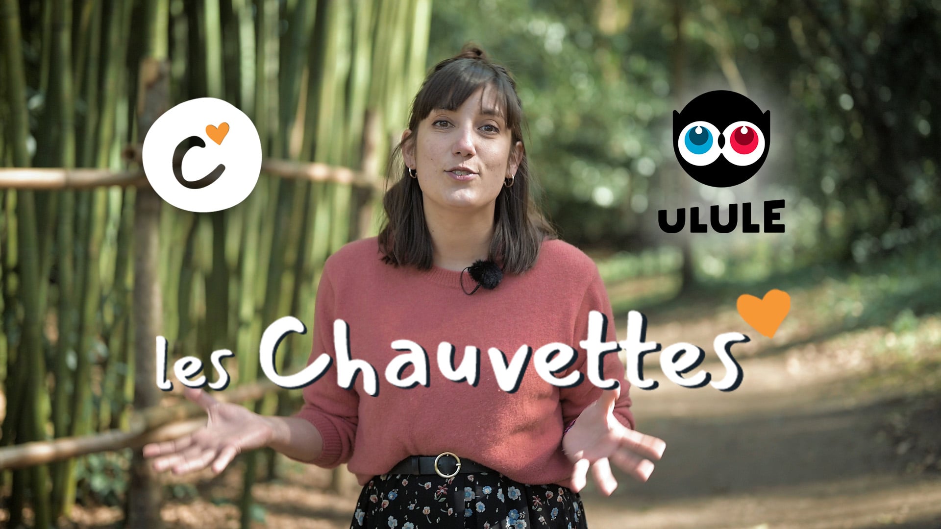 Les Chauvettes - Présentation projet