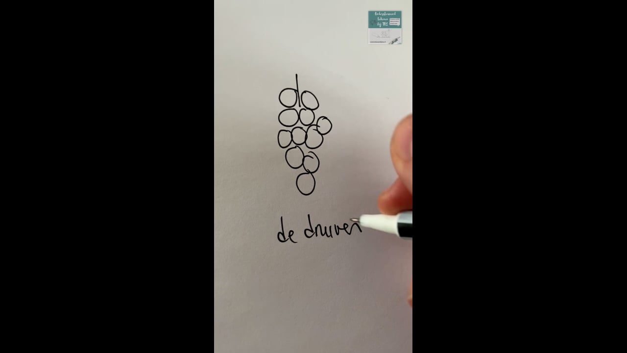 Druiven - blauw /wit (fruit)