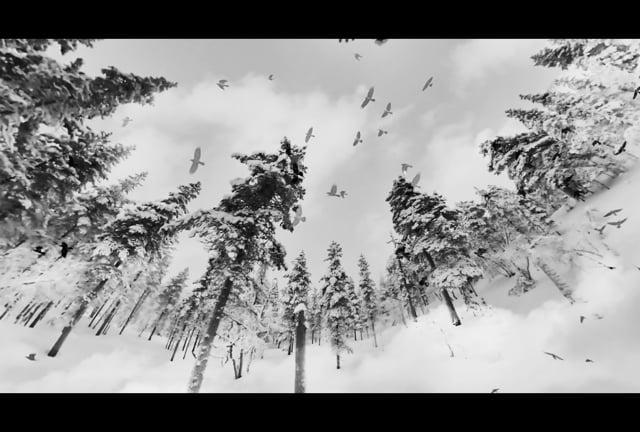 360 Crows & Snow