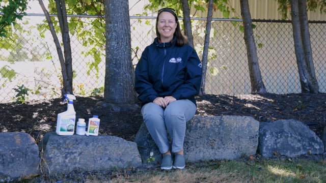 Guide to Seeding the Lawn