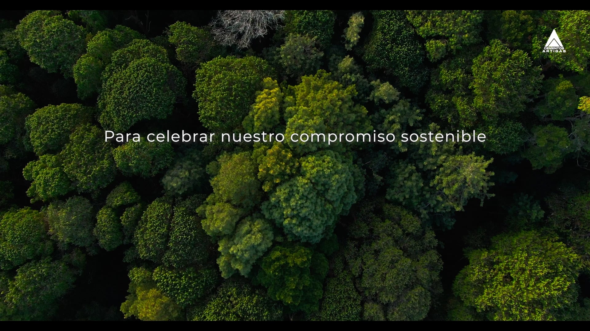 Cementos Artigas_Orquesta