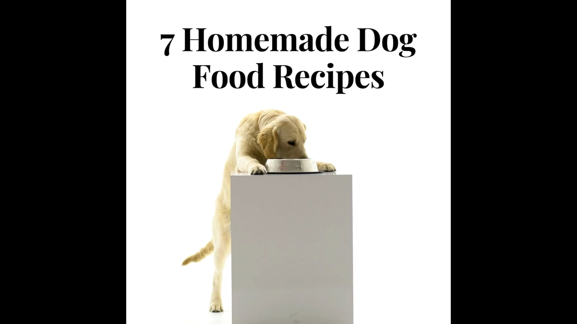 Homemade Dog Food Recipes