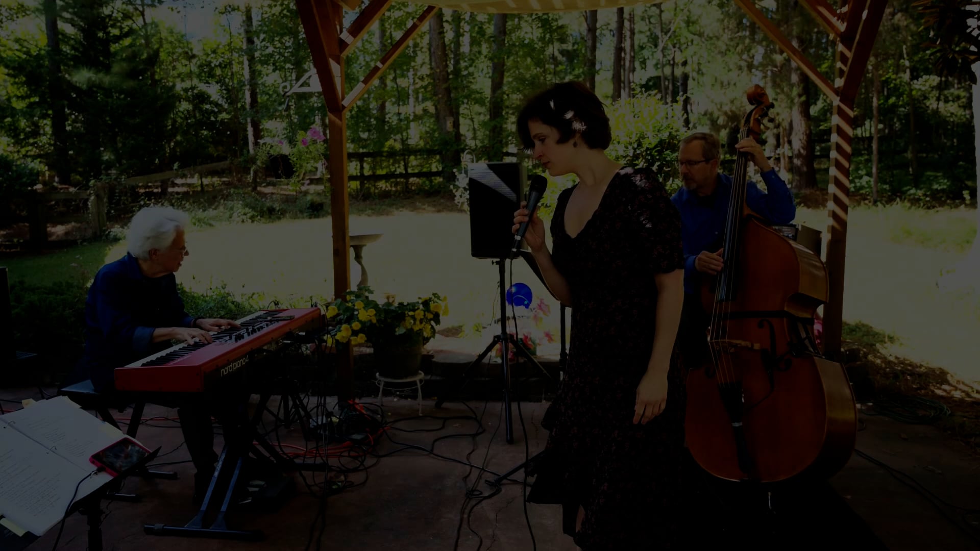 Promotional video thumbnail 3 for Wedding Music By Meghan