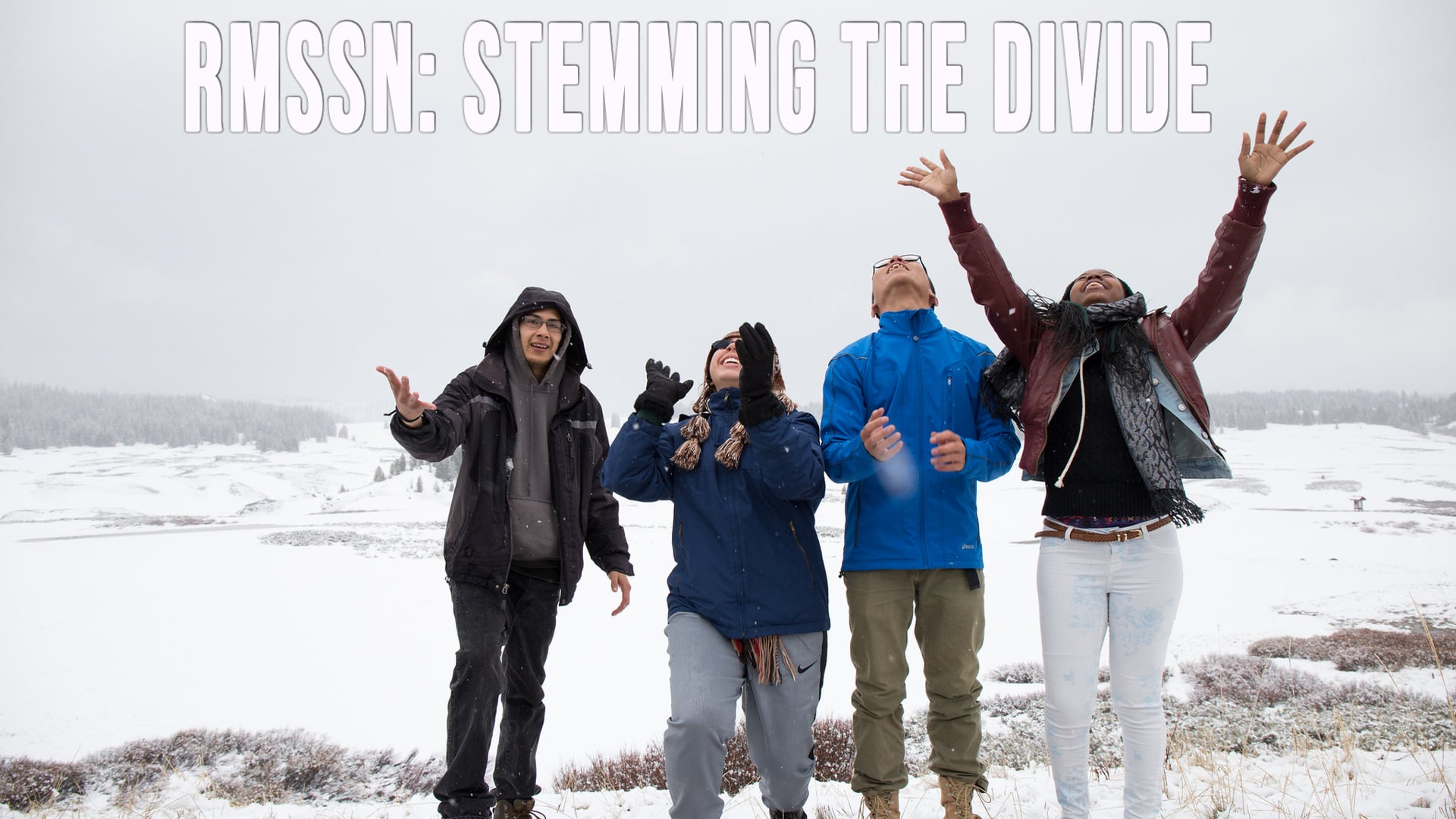 National Science Foundation Diversity Challenge - RMSSN: Stemming the Divide.