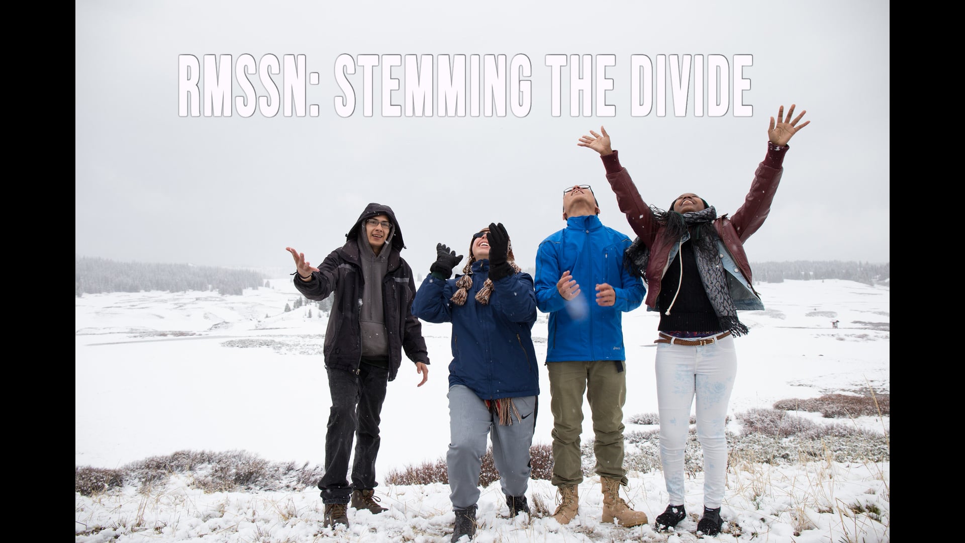 National Science Foundation Diversity Challenge - RMSSN: Stemming the Divide.