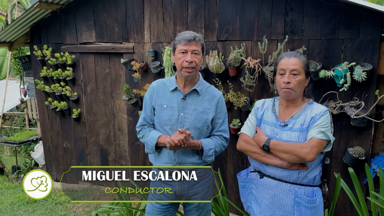 Baxtla, Teocelo