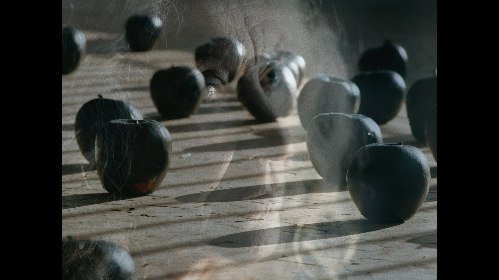 O Mundo por um fio -  Paulo Tó - Videoclipe