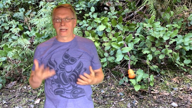 Why are Tigers Bright Orange?