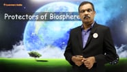 4 After Photosynthesis Economic Importance Of Plants On Vimeo