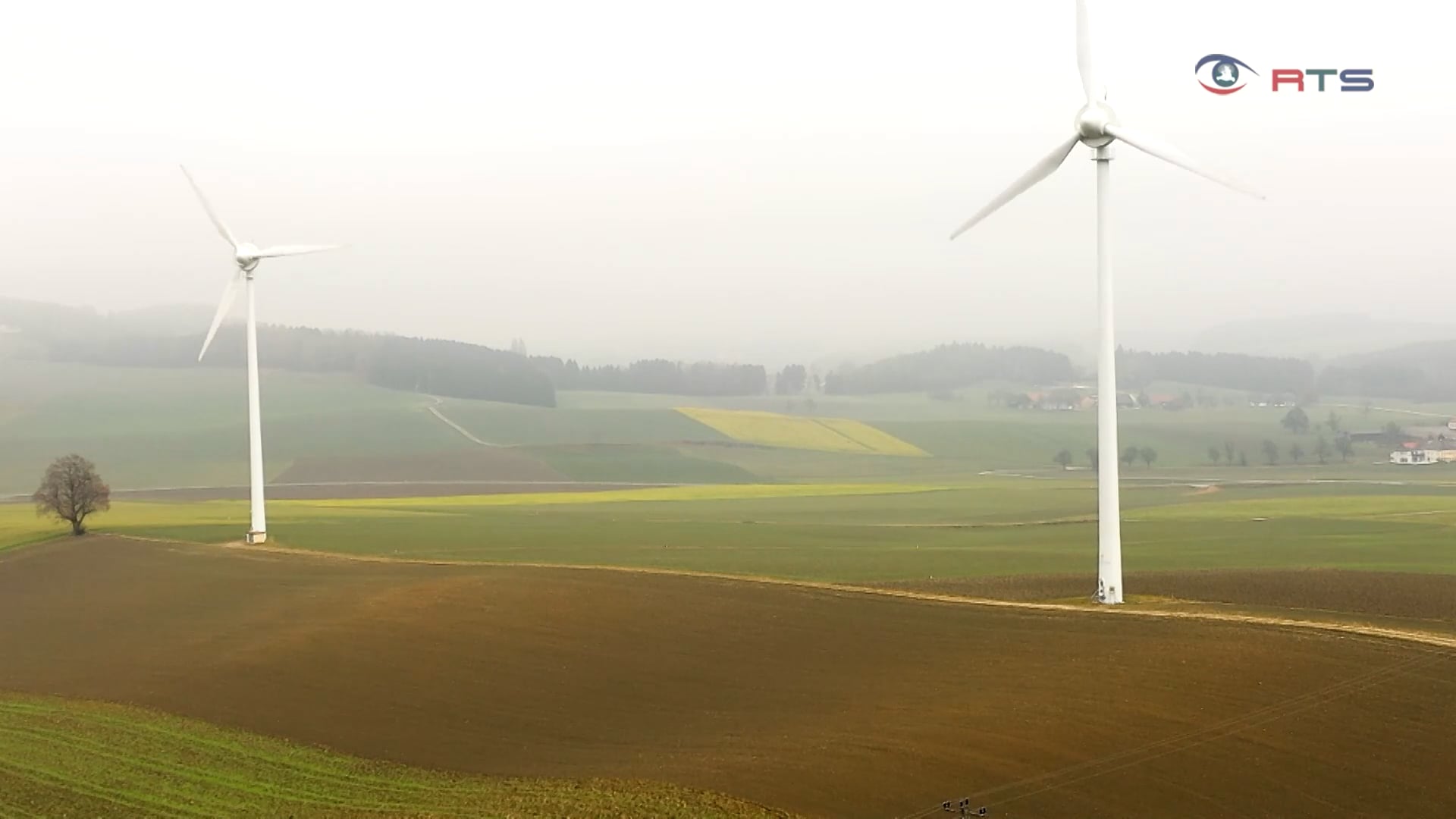 windkraft-versus-naturschutz