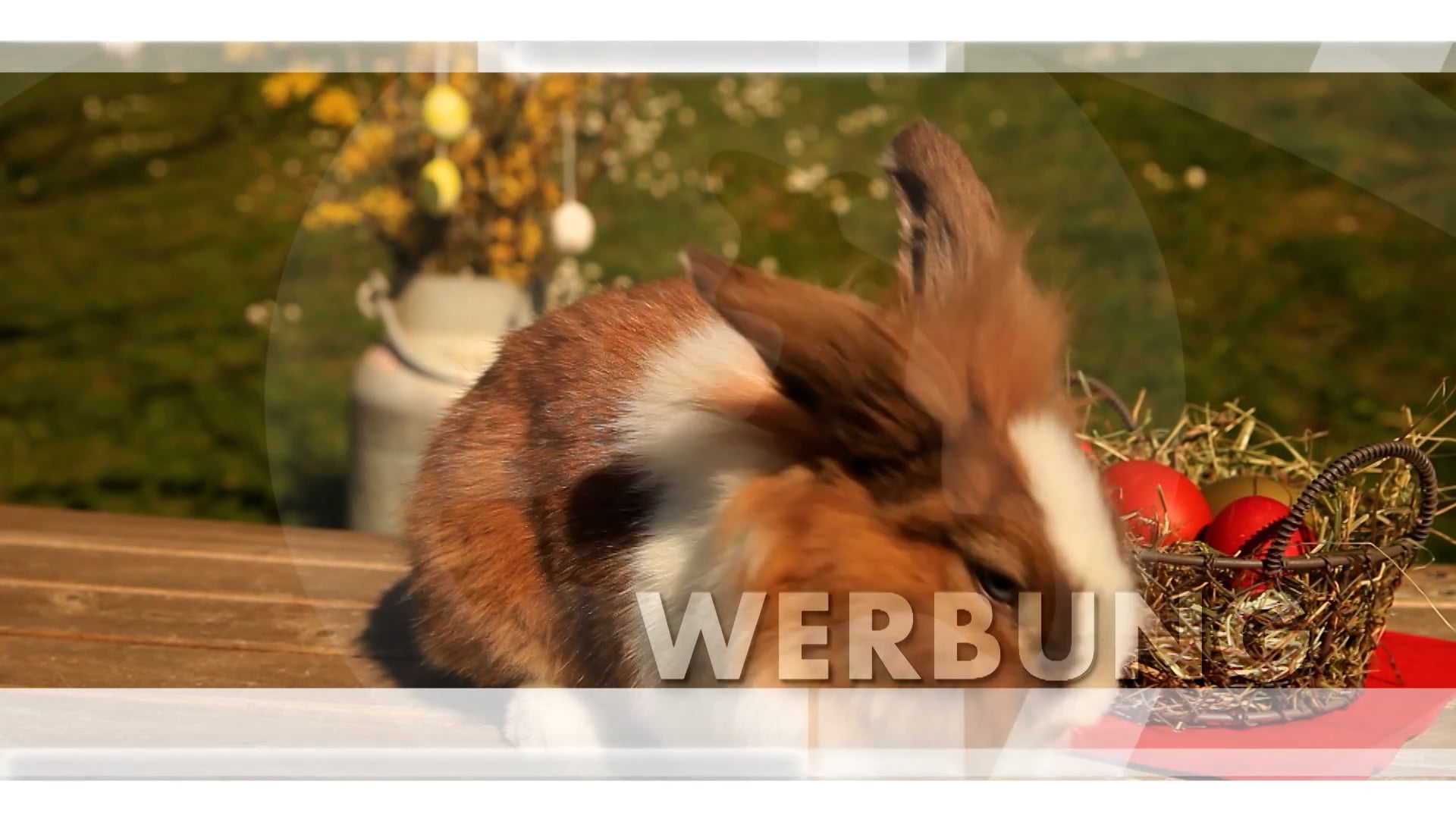 werbung-salzburg-magazin-08-04-2022