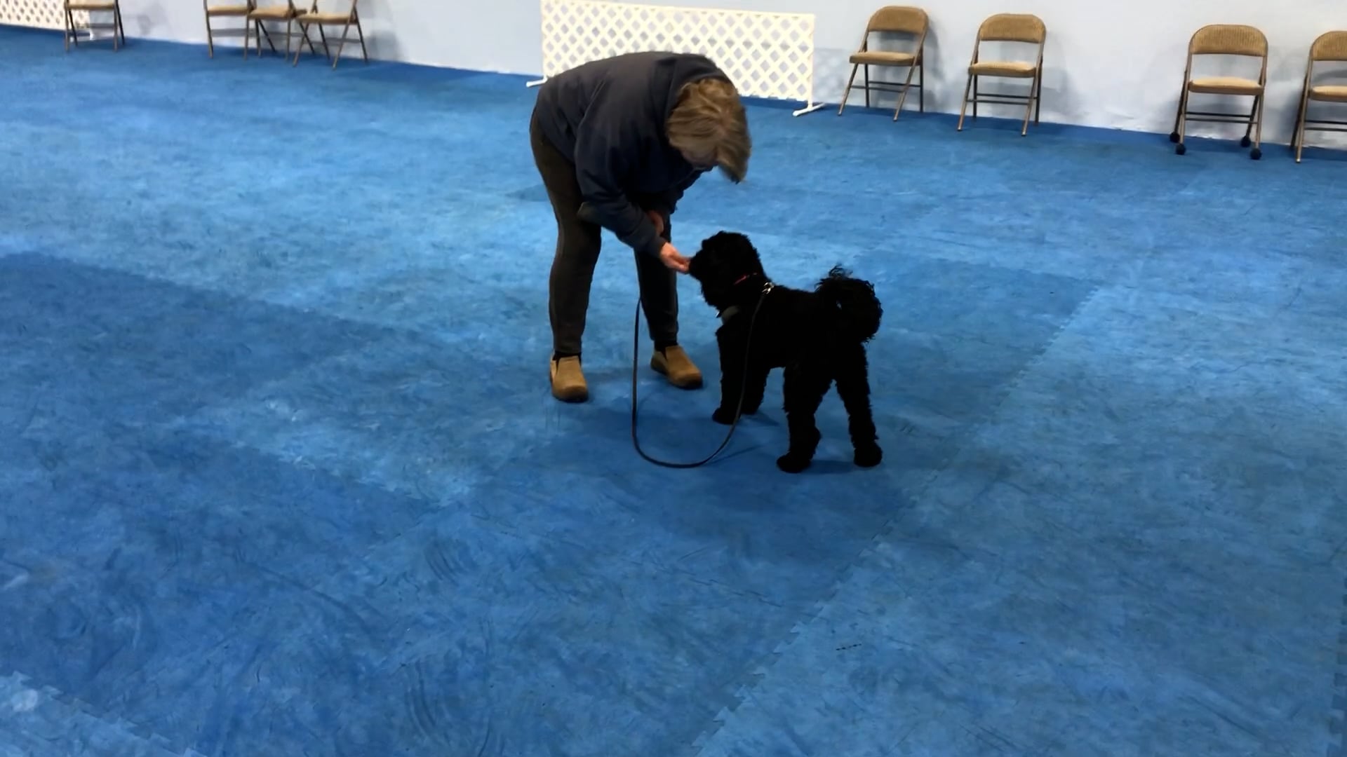 Collar is a noun on Vimeo