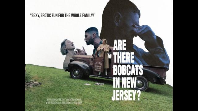 Are There Bobcats in New Jersey?