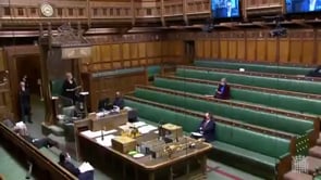 John Nicolson MP raises point of order on Tory minister's lie