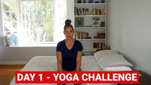 Related Embedded Video Item Thumbnail