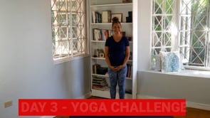 Related Embedded Video Item Thumbnail