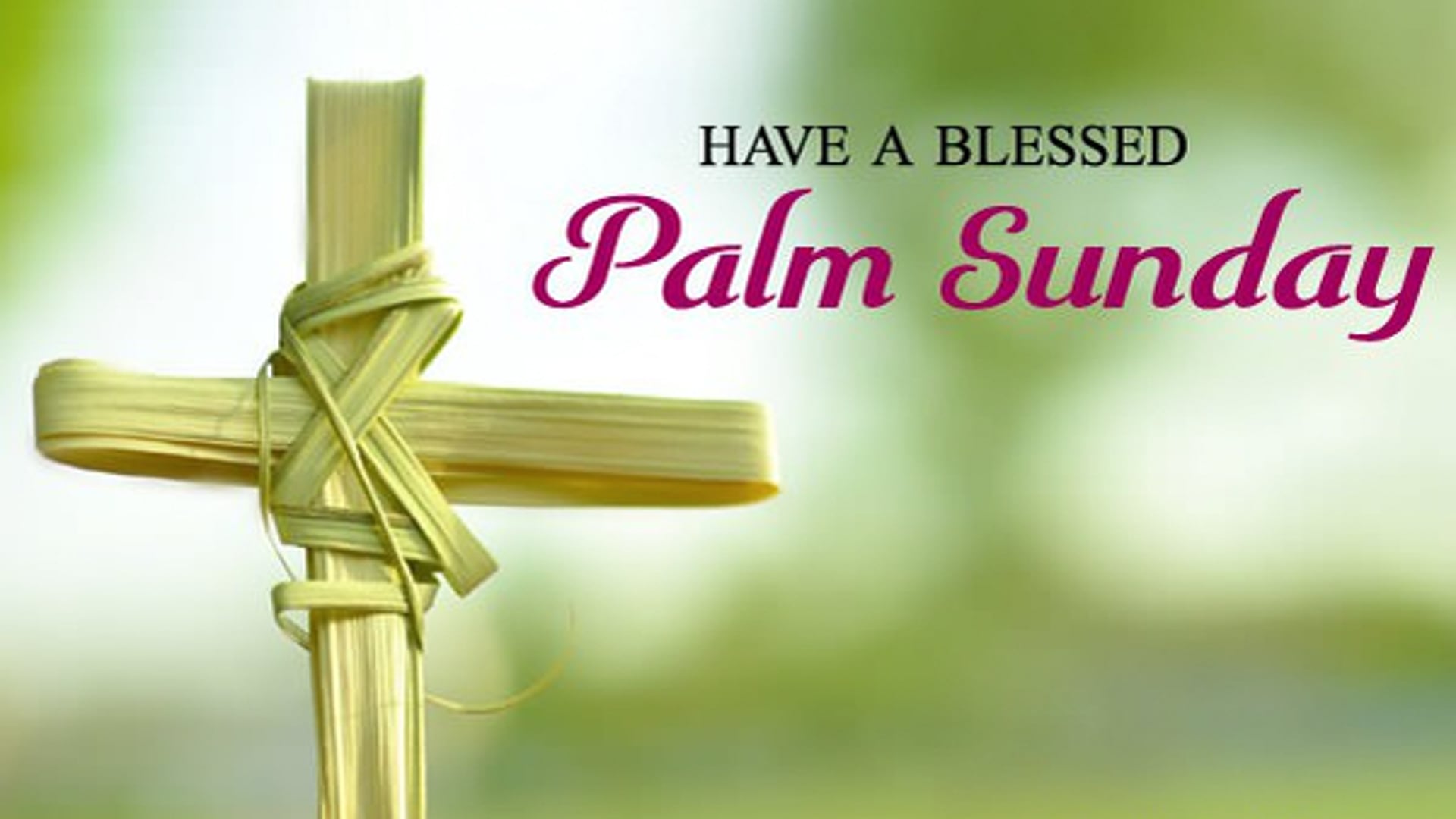 Palm Sunday 4-10-22