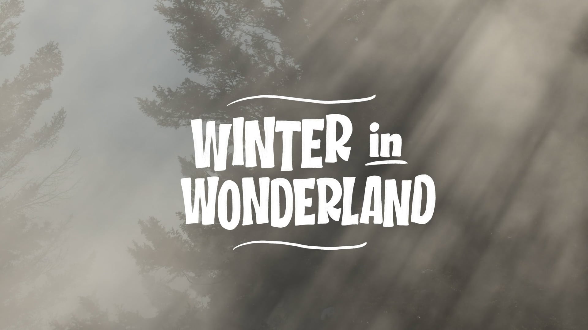 Yellowstone National Park: Winter in Wonderland Recap