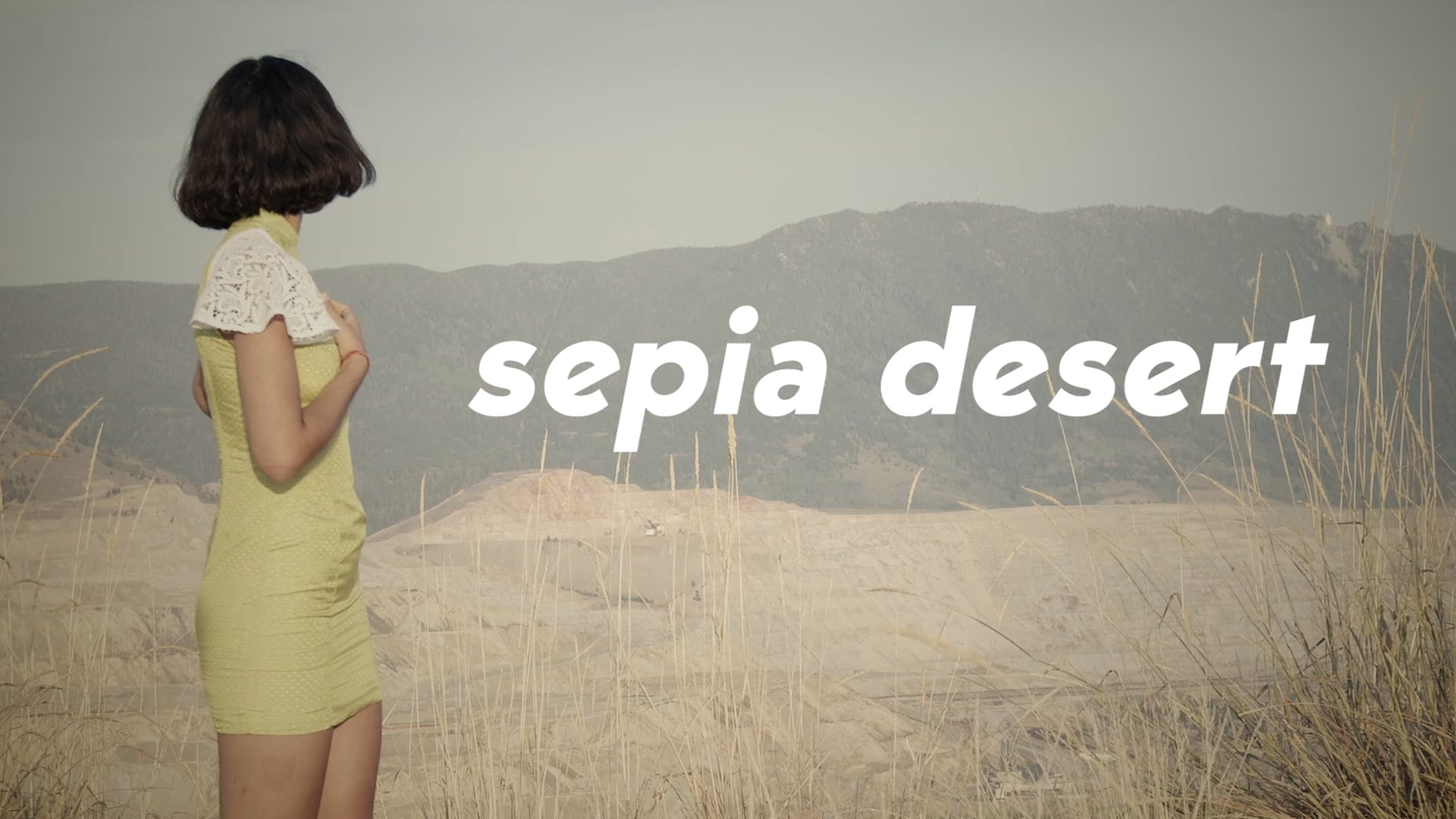"Sepia Desert"