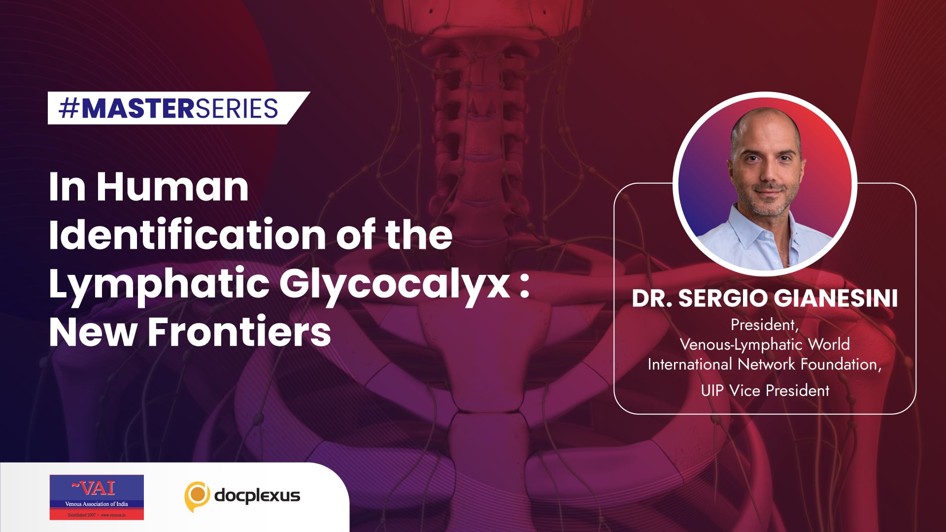 In Human Identification of the Lymphatic Glycocalyx: New Frontiers