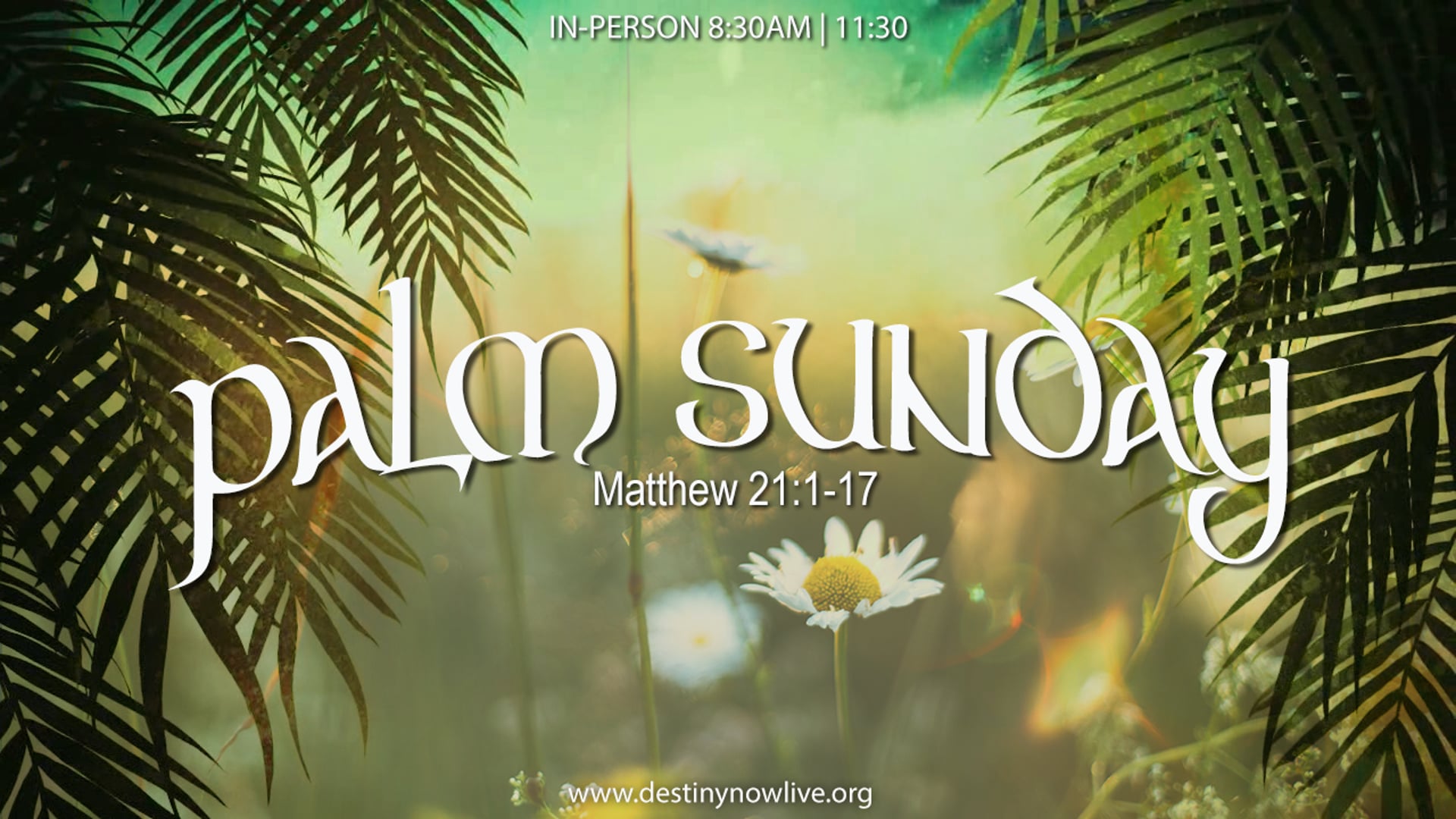 "Palm Sunday" - Text to Give - 910-460-3377 - Give Online @ www.destinynow.org
