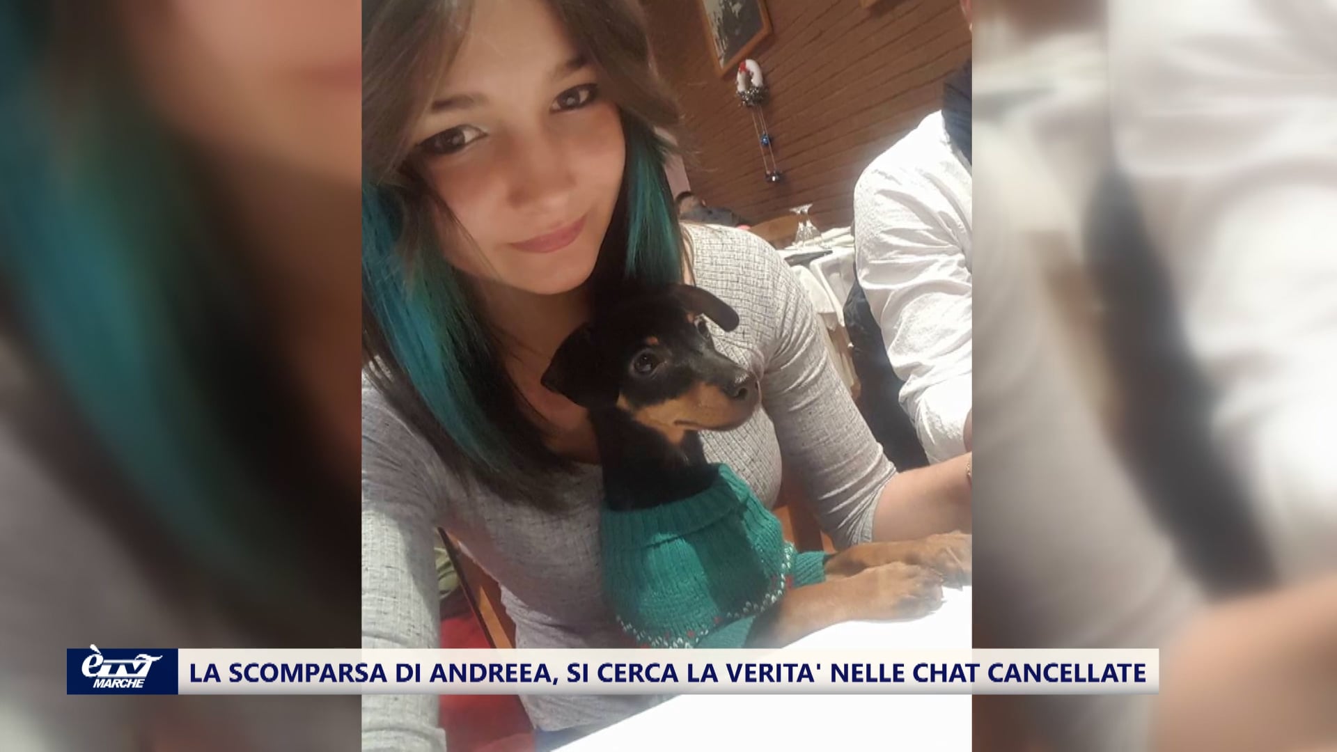 La scomparsa di Andreea, si cerca la verità sulla sua scomparsa nelle chat cancellate dal telefono - VIDEO