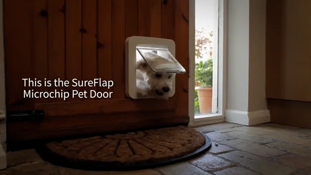 Microchip dog outlet flap uk