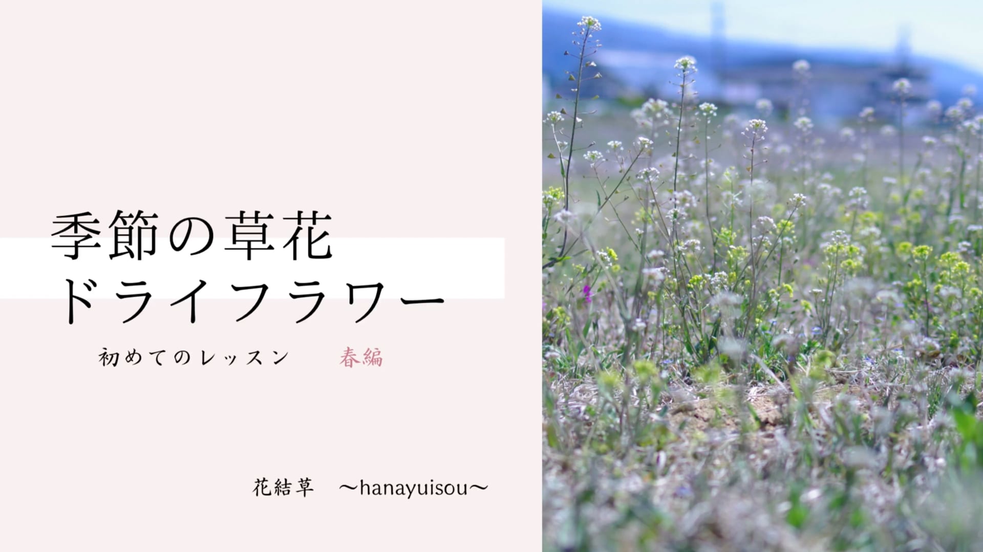 予告編動画のサムネイル画像