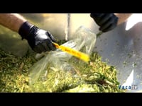 José María Vivero, asesor agronómico de Dekalb